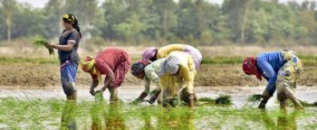 Dharani Telangana Farmers Free Passbook Land Records Registration Policy