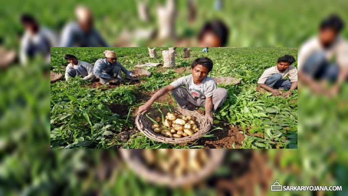 Krishi Rin Samadhan Yojana MP