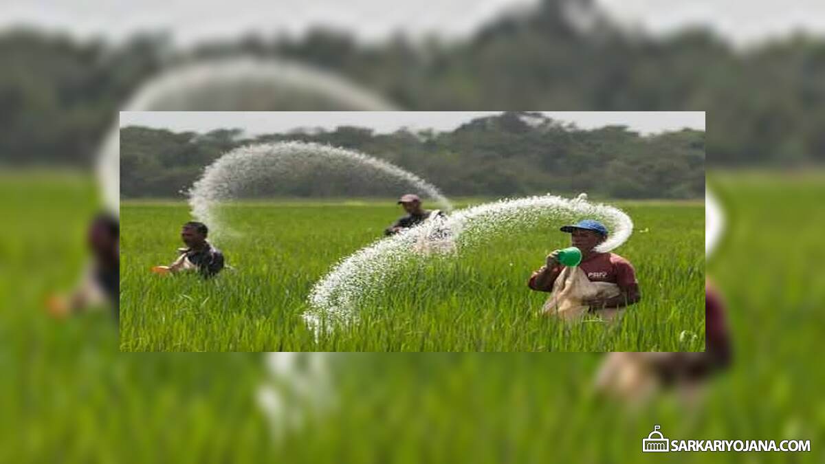 Urea Subsidy Scheme DBT Fertilizer Farmers
