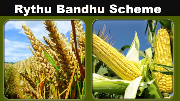 [9th Phase] Telangana Rythu Bandhu Scheme 2024 Apply Form / Amount ...