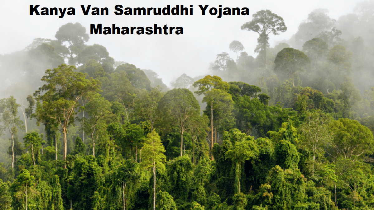 Kanya Van Samruddhi Yojana Maharashtra Launch