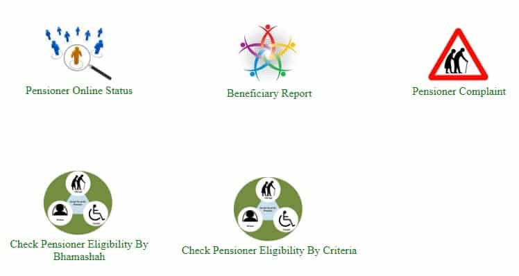 Rajasthan Old Age Pensioner Online Status Eligibility Beneficiary Report