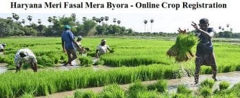 Haryana Meri Fasal Mera Byora Farmers Crop Details Registration