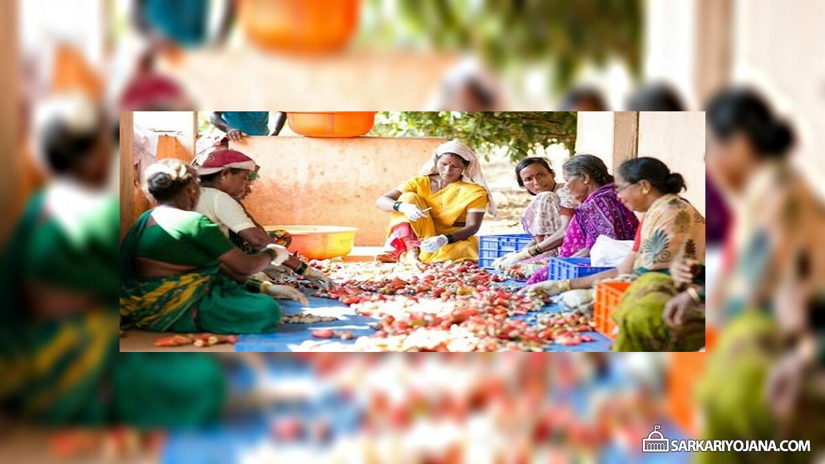 Karnataka New Loan Scheme Self Help Groups