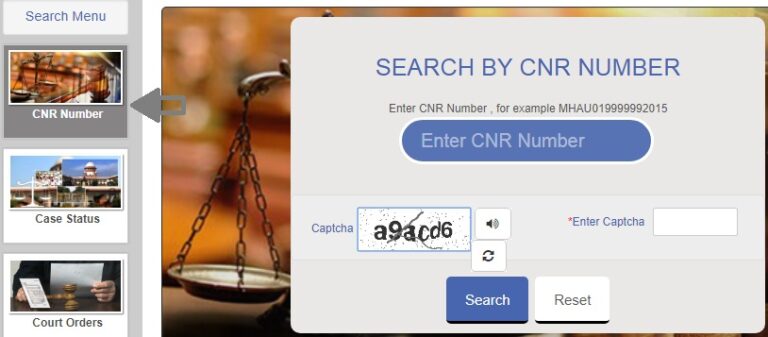 eCourt India Services Case Info CNR Number