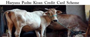 Haryana Pashu Kisan Credit Card Scheme Application Form