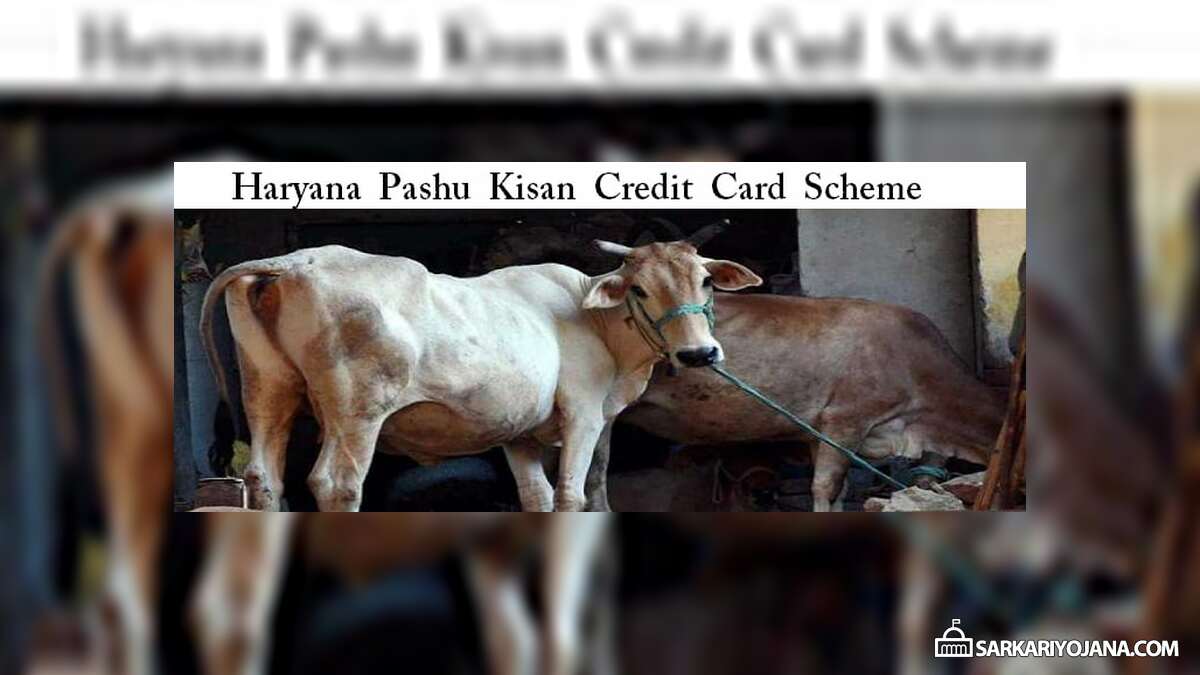 Haryana Pashu Kisan Credit Card Scheme Application Form