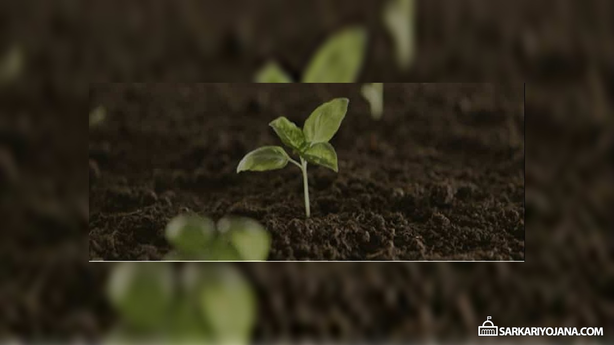 Haryana Paudhagiri Green Abhiyan Download App