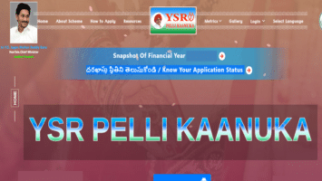 AP YSR Pelli Kanuka Application Form Status