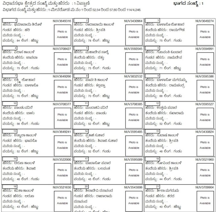 CEO Karnataka Voter List PDF Download