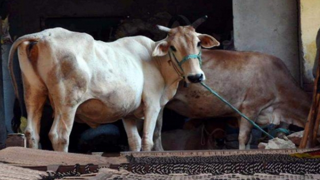 AP Cattle Health Card Scheme 2024 for Animals | YSR Pasu Nasta Parihara Padakam – Livestock Loss Compensation Scheme