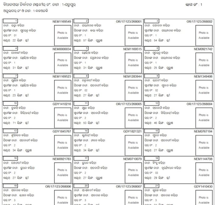 CEO Odisha Voter List With Photo Name