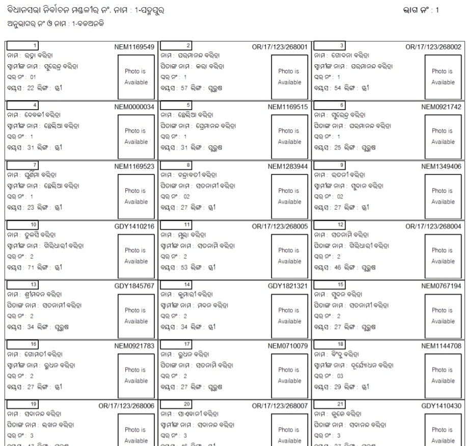 CEO Odisha Voter List With Photo Name