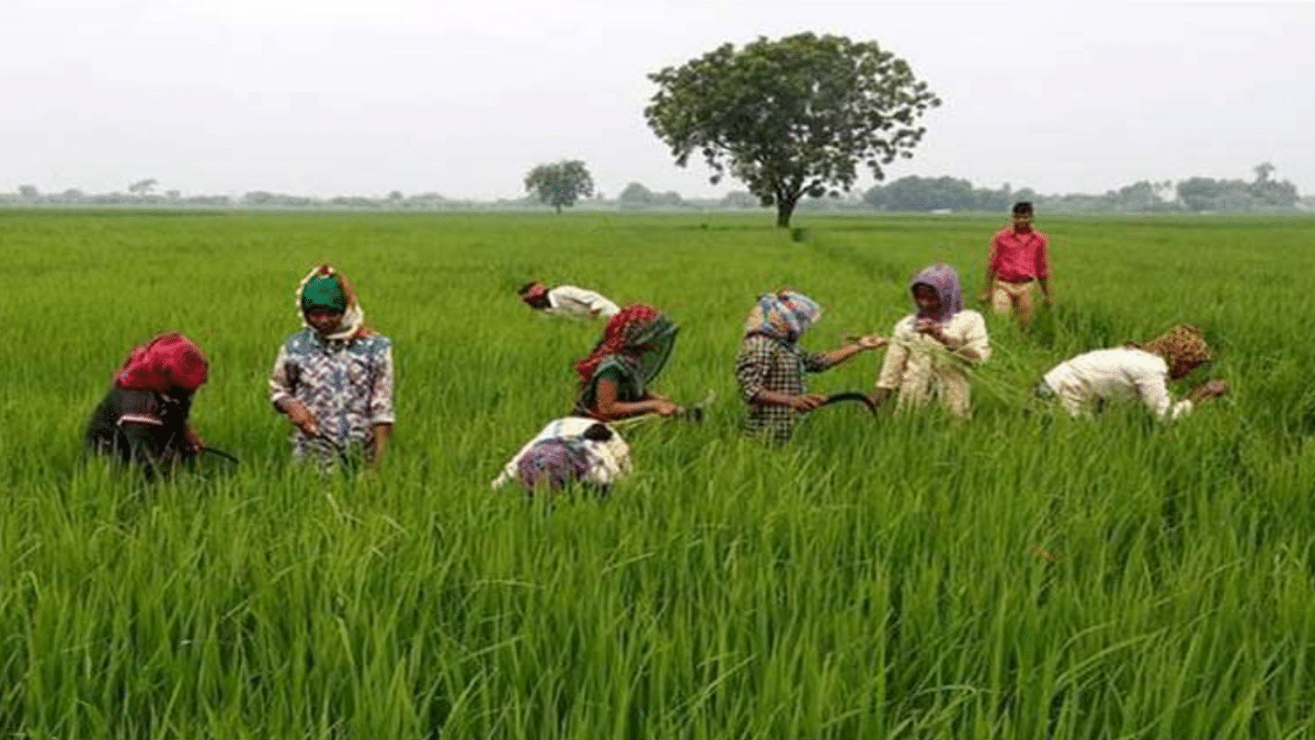 [Apply] Odisha Balaram Yojana Online Registration Form 2024 – Agricultural Credit to Landless Farmers