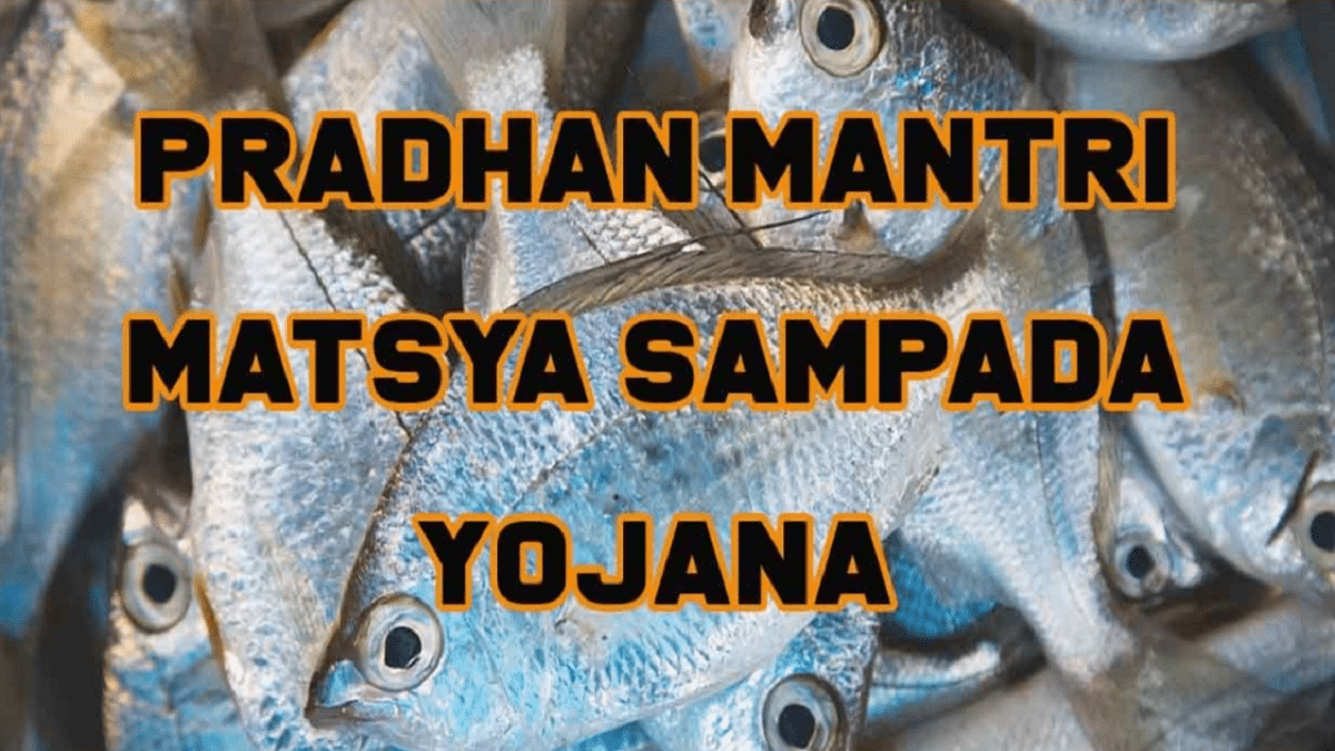 Pradhan Mantri Matsya Sampada Yojana 2024 Operational Guidelines for Fisheries Sector at pmmsy.dof.gov.in