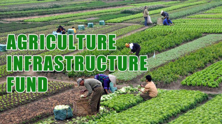 Apply Agriculture Infrastructure Fund Scheme 2024 Registration   Agriculture Infrastructure Fund 768x432 