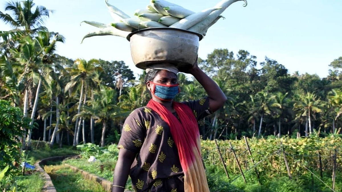 Kerala Basic Price Scheme 2020 1 Basic Price Scheme Kerala