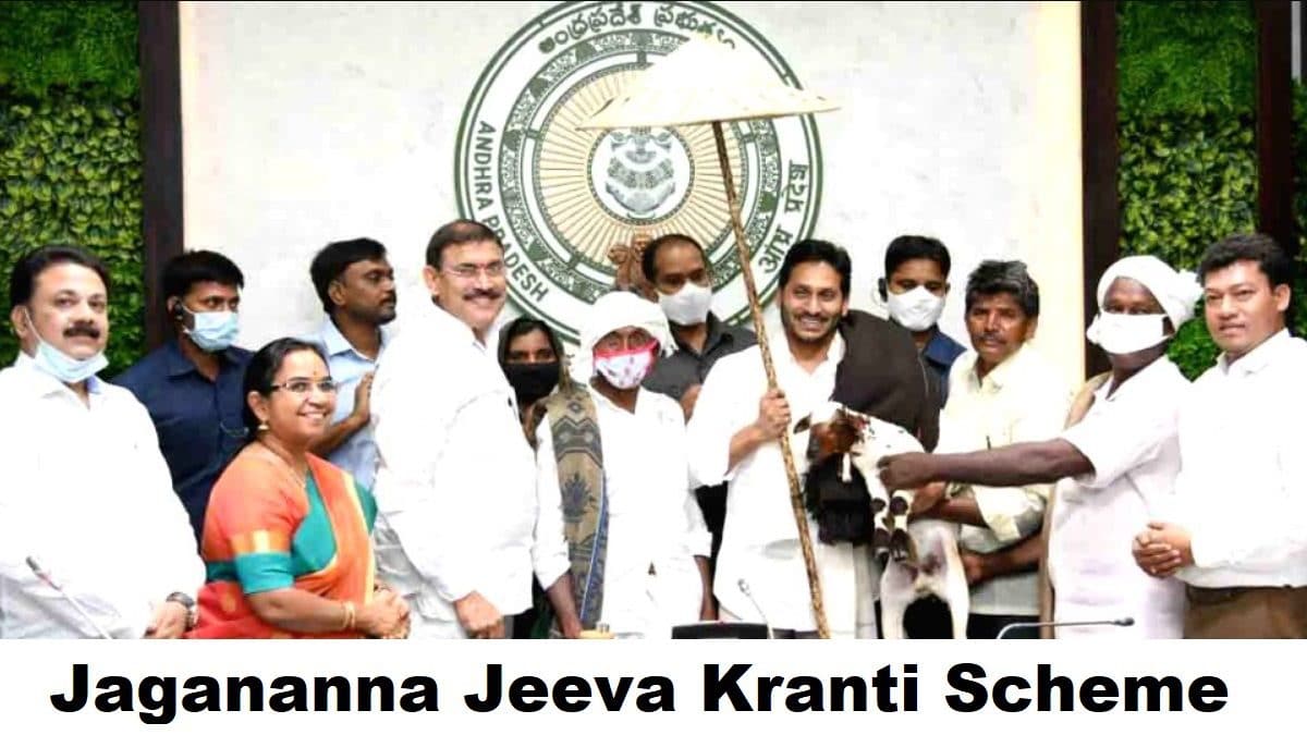 AP Jagananna Jeeva Kranthi Scheme 2024 – Apply Online, BC / SC / ST / Minority Women Selection for Sheep & Goat Units