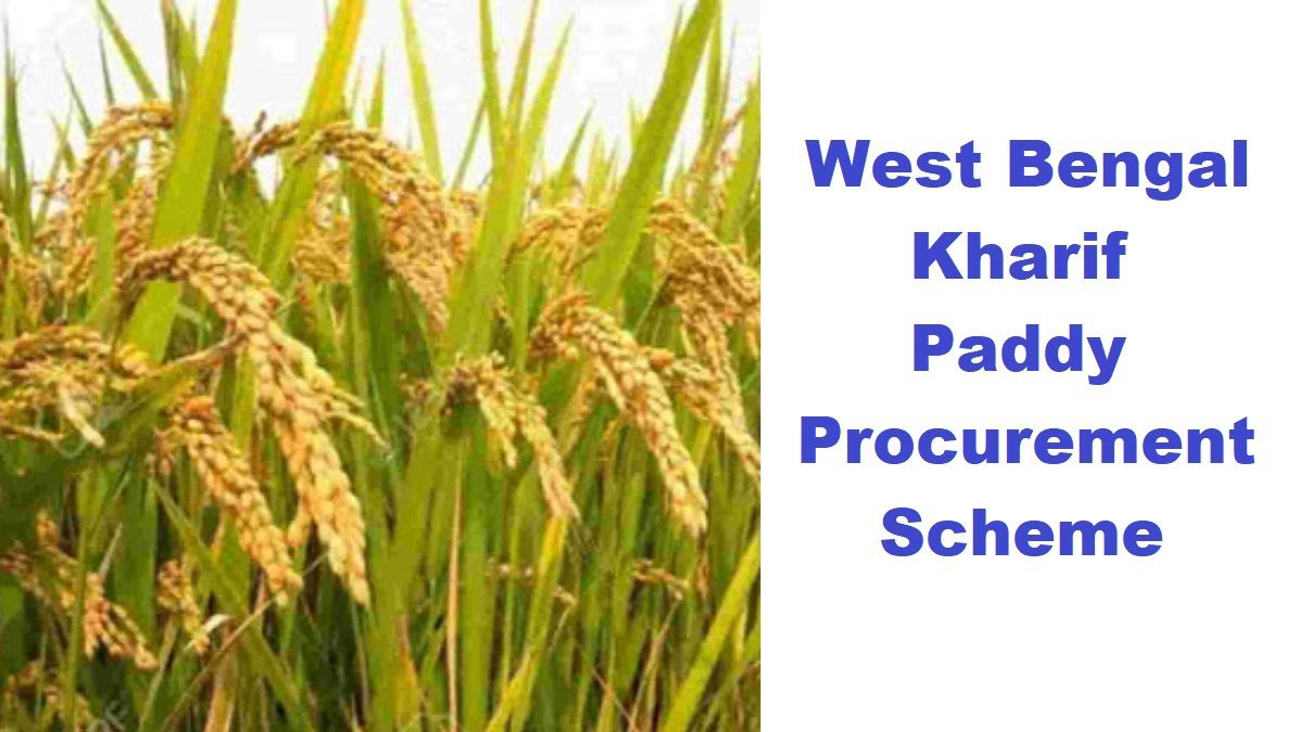 WB Rice Mill Registration 2024 at procurement.wbfood.in