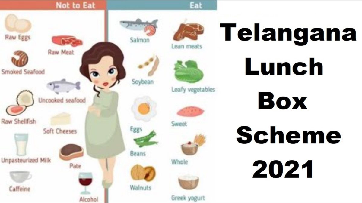 Telangana Lunch Box Scheme 2024 – Meals for Pregnant Women