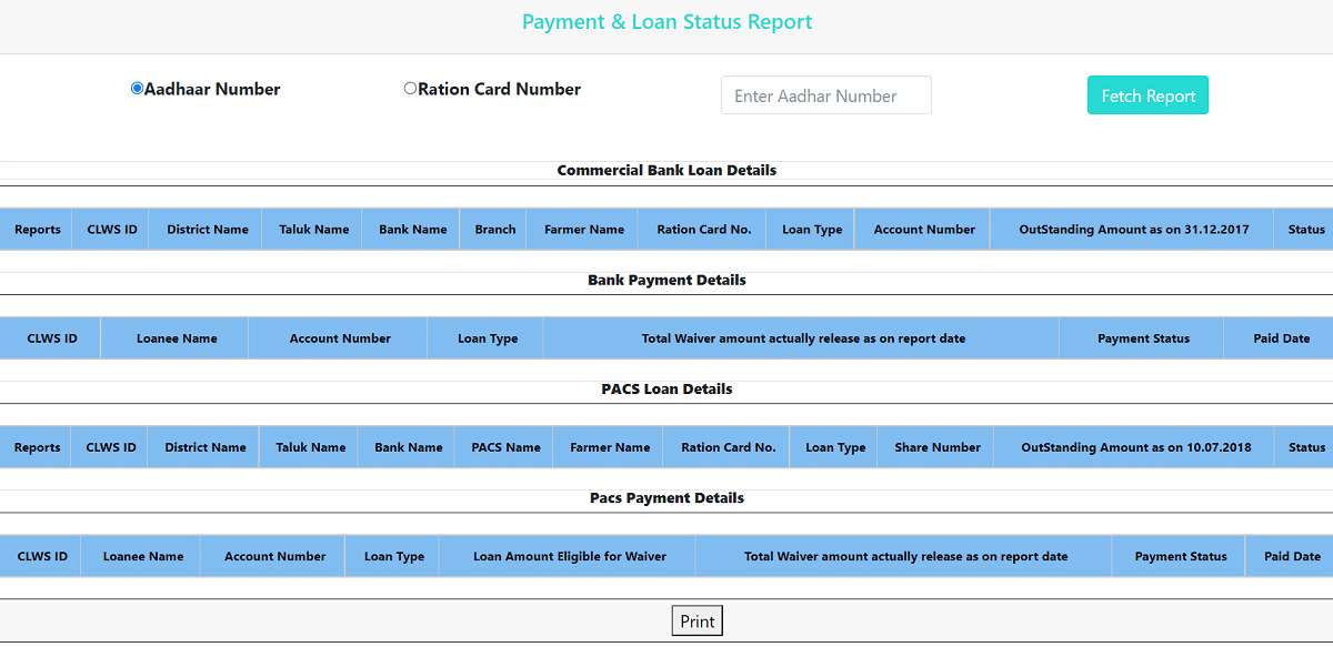 Check CLWS Payment Loan Status Report