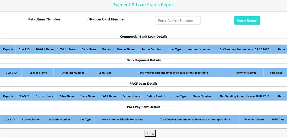 CLWS Payment Loan Status Report