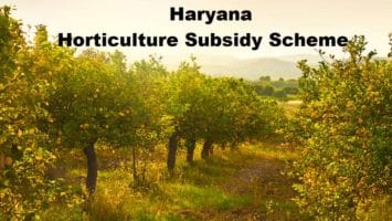 Haryana Horticulture Subsidy Scheme Orchards