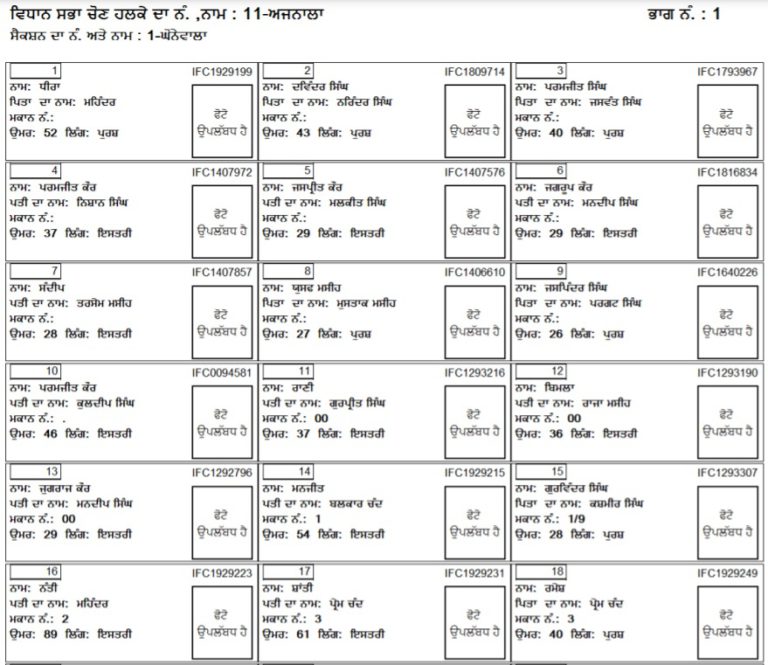 Punjab Voter List 2024 (PDF Electoral Rolls) ceopunjab.gov.in / New