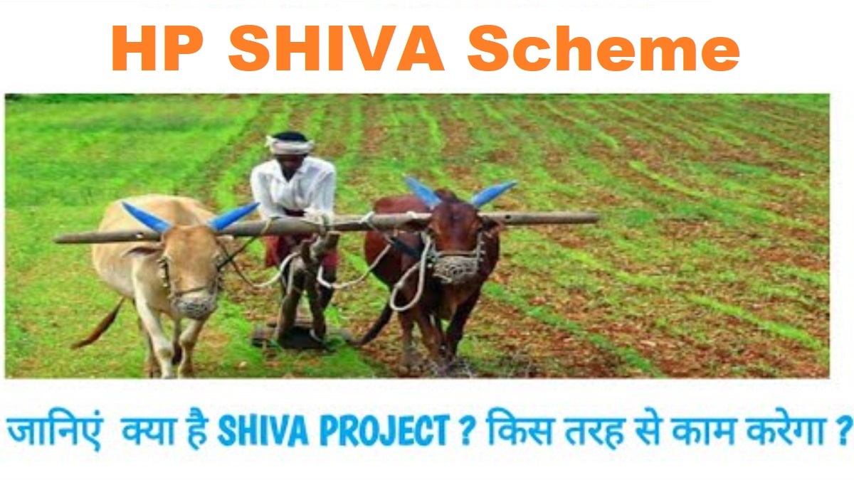 HP Shiva Scheme Horticulture Development