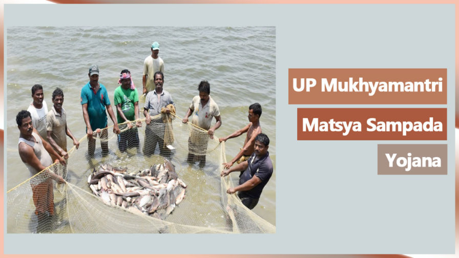 up-mukhyamantri-matsya-sampada-yojana-2024-in-uttar-pradesh-budget-2022-23