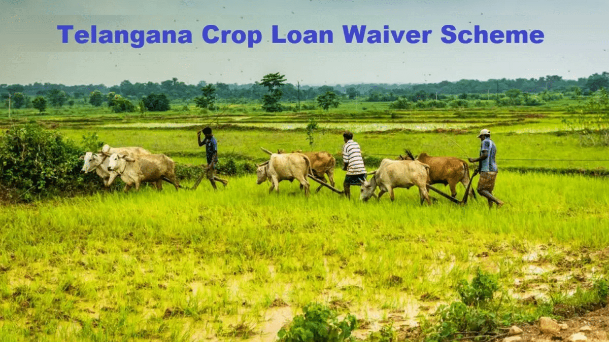 Telangana Crop Loan Waiver Scheme
