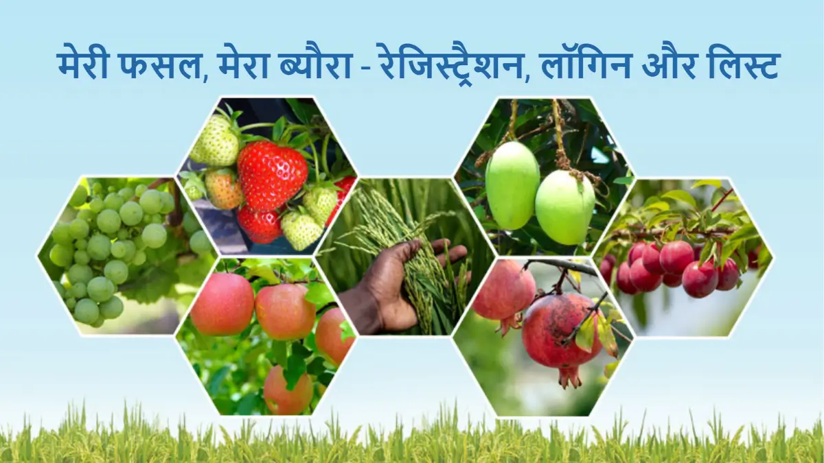 हरियाणा मेरी फसल मेरा ब्यौरा पोर्टल – रजिस्ट्रेशन, Farmers List 2024 @ fasal.haryana.gov.in
