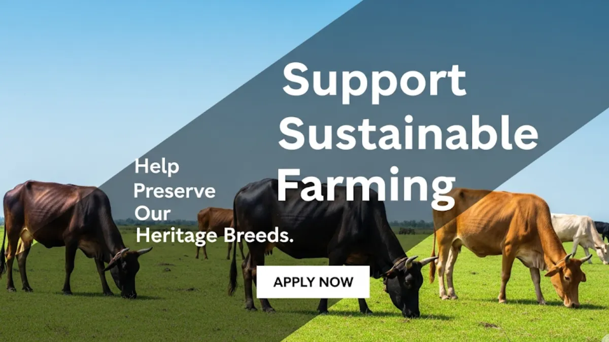 Svadeshi Gau Samvardhan Yojana