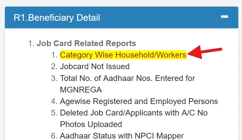 Category Wise Household / Workers