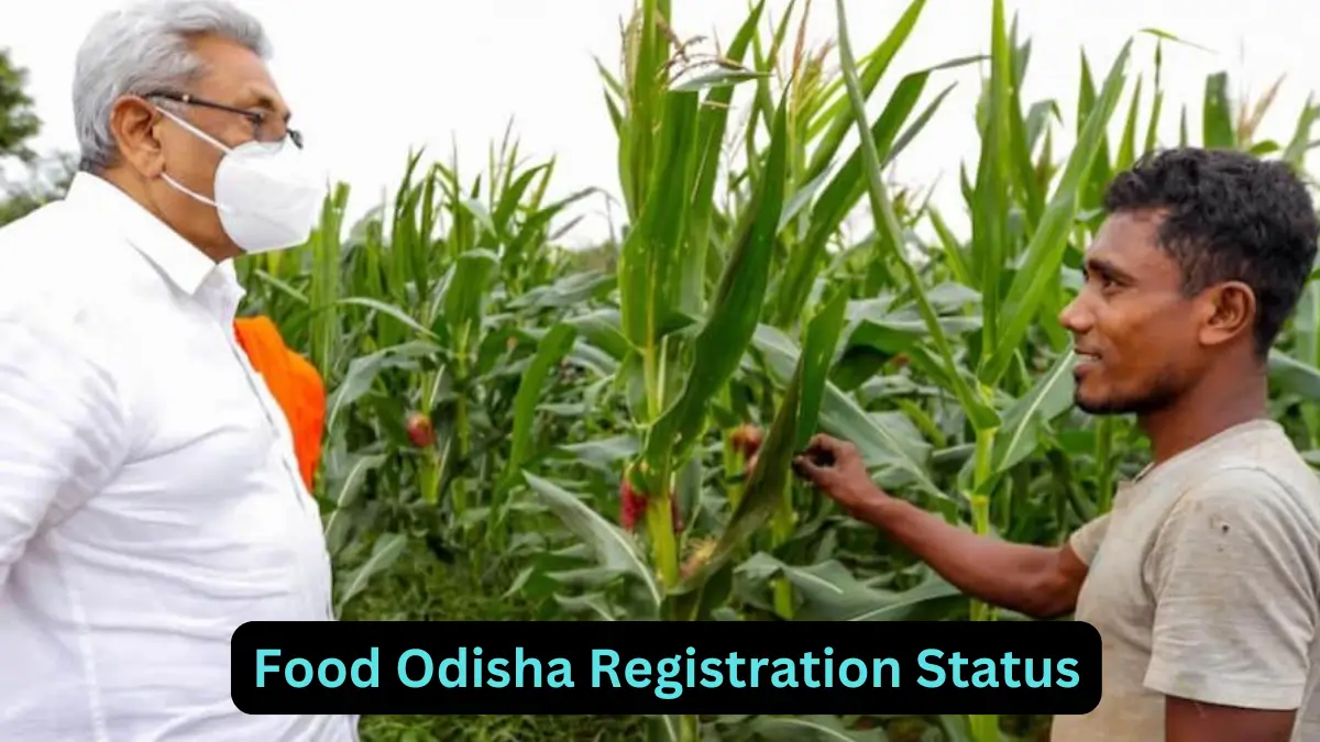 Food Odisha Registration Status 2024 – How to Check Online @ food.odisha.gov.in