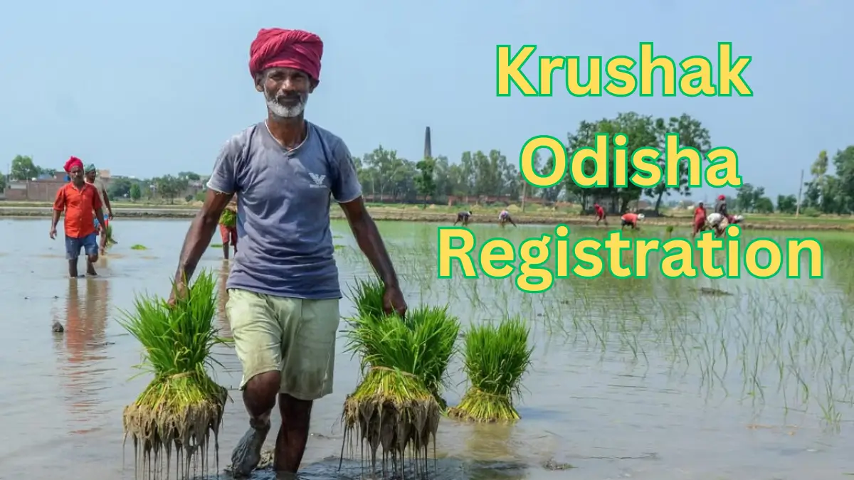 Krushak Odisha Registration 2024 @ krushak.odisha.gov.in – Login, Beneficiary List, Status Check