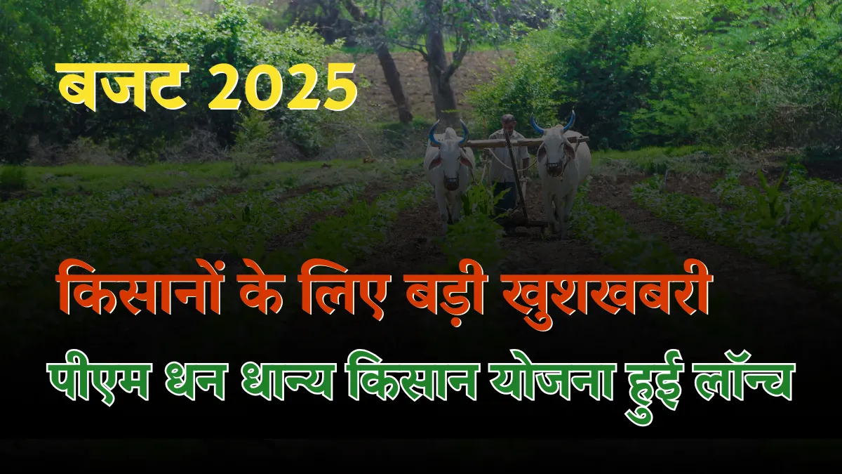 PM Dhan Dhanya Krishi Yojana 2025 – Complete Details of India’s New Agricultural Initiative