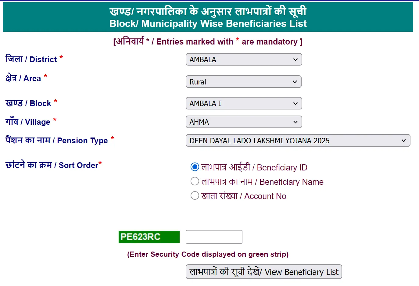 Select Details and DDLLY 2025 in Pension Type