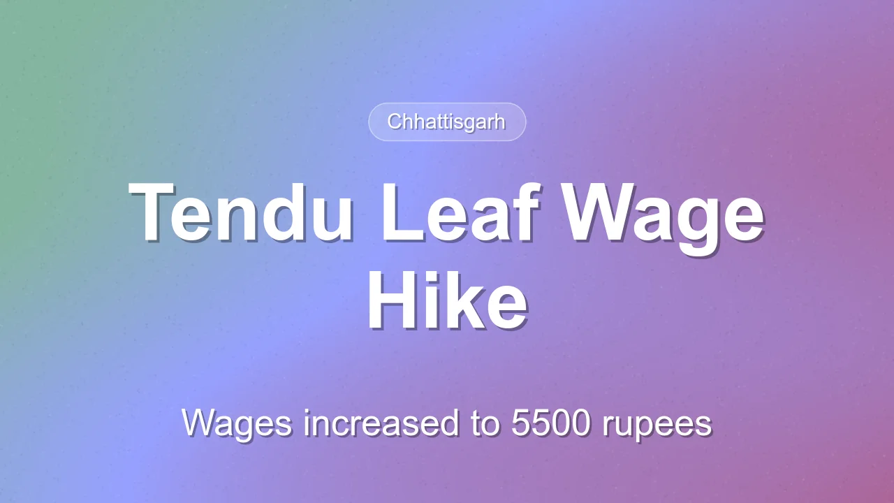 Chhattisgarh Increases Tendu Leaf Collection Wages to 5500 Rupees