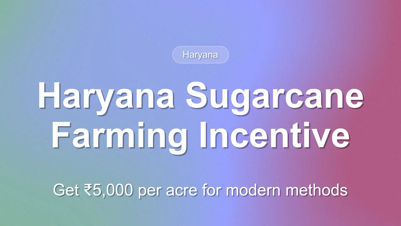 Haryana Increases Incentive for Modern Sugarcane Farming